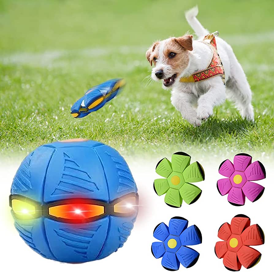 Lyla&Co™ Dog Frisbee
