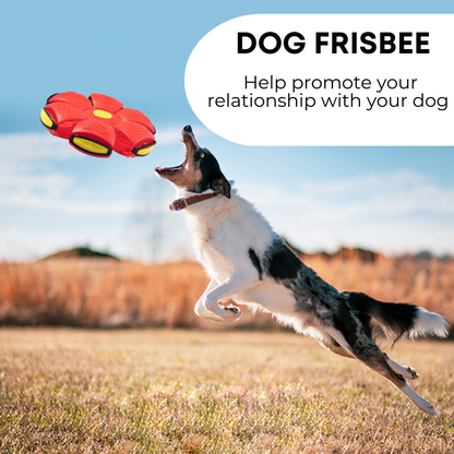 Lyla&Co™ Dog Frisbee