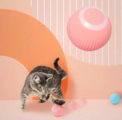 Lyla&Co™ Interactive Ball