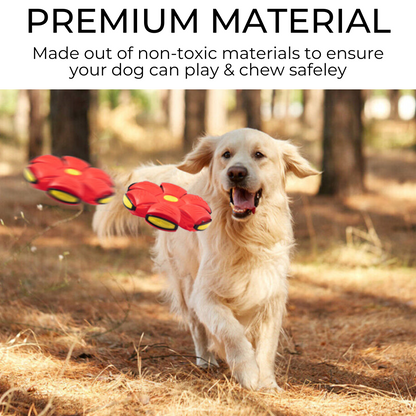 Lyla&Co™ Dog Frisbee