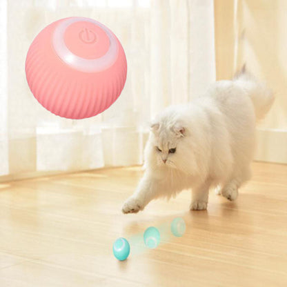 Lyla&Co™ Interactive Ball
